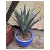 Planter
