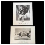 Pair Framed Prints behind Glass