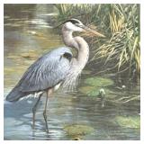 Framed LT Ed Print  'Lone Fisherman -Great Blue