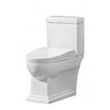 Ove decors irenne elongated smart bidet toilet
