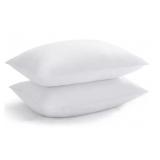 Therapedic Premier 2-Pack Pillows, Standard #2