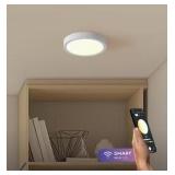 Globe Electric Tomlin 7.5' mount Light 2-Pack R$49