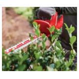 R$39 Homelite 12V Cordless Hedge Trimmer