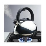 #5 Farberware SS Tea Kettle