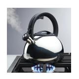 #5 Farberware SS Tea Kettle