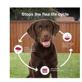 #25 K9 Advantix II Large Dog Flea & Tick
