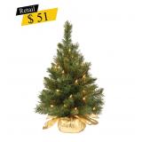 #4 Majestic Fir Pre-Lit Tabletop Tree, 2 ft.
