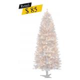 #21 White Pine Tree, 6 ft.