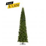 #248 Downswept Douglas Fir Pencil Tree 12ft