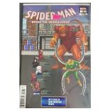 Spider-Man Enter The Spider-Verse 1 Variant