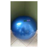 Go Fit Exercise Ball and How to use