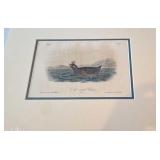 Variety of Fowl prints (Total of 5) 16x20, 16x20,