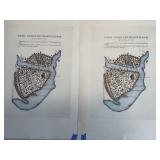 Pair Constantinople Map Prints, Ltd Ed 300 &