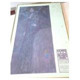 Vienna 1900 Art-Architecture & Design Woman