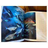 National Geographic Visions of Paradise Book