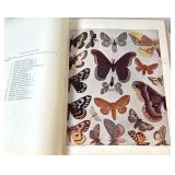 Antique 1903 Moth Book w/ Pressed Plants