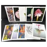 Botanical Art Print Set of 10 Jennifer Lis 8x10
