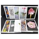 Botanical Art Print Set of 10 Jennifer Lis 8x10