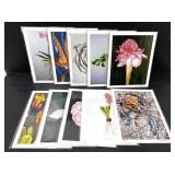 Botanical Art Print Set of 10 Jennifer Lis 8x10