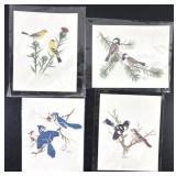 Sherm Pehrson Song Bird Prints Set of Four