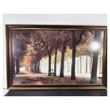 Framed Autumn Tree Lined Path Photo Print