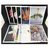 Botanical Art Print Set of 10 Jennifer Lis 11x14
