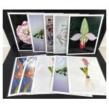 Botanical Art Print Set of 10 Jennifer Lis 11x14