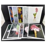 Botanical Art Print Set of 10 Jennifer Lis 11x14