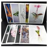 Botanical Art Print Set of 10 Jennifer Lis 11x14