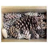 Crafting Pinecone Lot