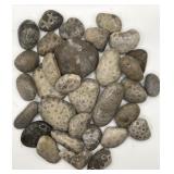 Petoskey Stones, Charlevoix, Fossils Rock