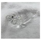 Swarovski Silver Crystal Walrus 7620 NR 100000