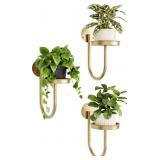 Bamworld Wall Plant Holder Wall Planters for