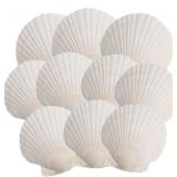 10PCS White Scallop Seashells 4-5 Inch