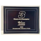 1993 Championships Collectors Prints