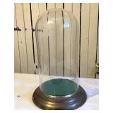 Schatz & Söhne Glass Display Dome Cloche & Base