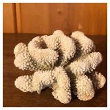 Natural White Coral