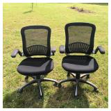 (2) Matching Office Chairs