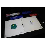 Six Contemporary DJ Records: Emma Shapplin spente