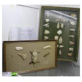 Central USA found arrowheads, two displays green m