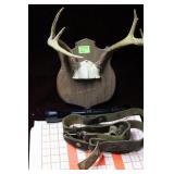 Paper targets, Weaver scope, 6 point rack, leather