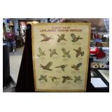 1970s Remington Sportsman posters "Know your Big