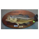Wall mounted bass  21 1/2in
