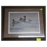 Framed duck print - The Haren Bluebills 27" x 30"