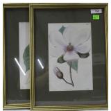 Pair of framed floral prints