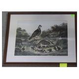 Framed pheasant print 32.5" x 40"