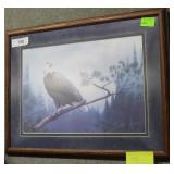 Framed Stans print of Eagle in tree 16.5" x 21.5"