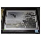 Framed lithograph of Bald Eagles