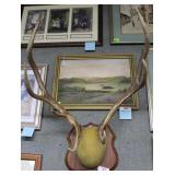 Seven point Elk rack mount