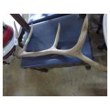 5 pt antler34 in overall